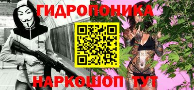 прущие крисы Новокубанск