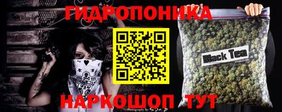 дмт Новодвинск